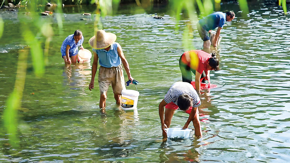Pg电子平台：蹲点十村看乡村振兴再出发｜新华蹲点调研(图1)