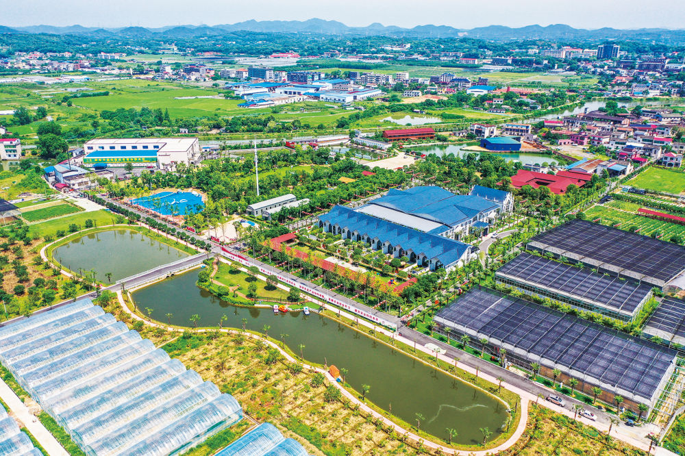 Pg电子平台：蹲点十村看乡村振兴再出发｜新华蹲点调研(图2)