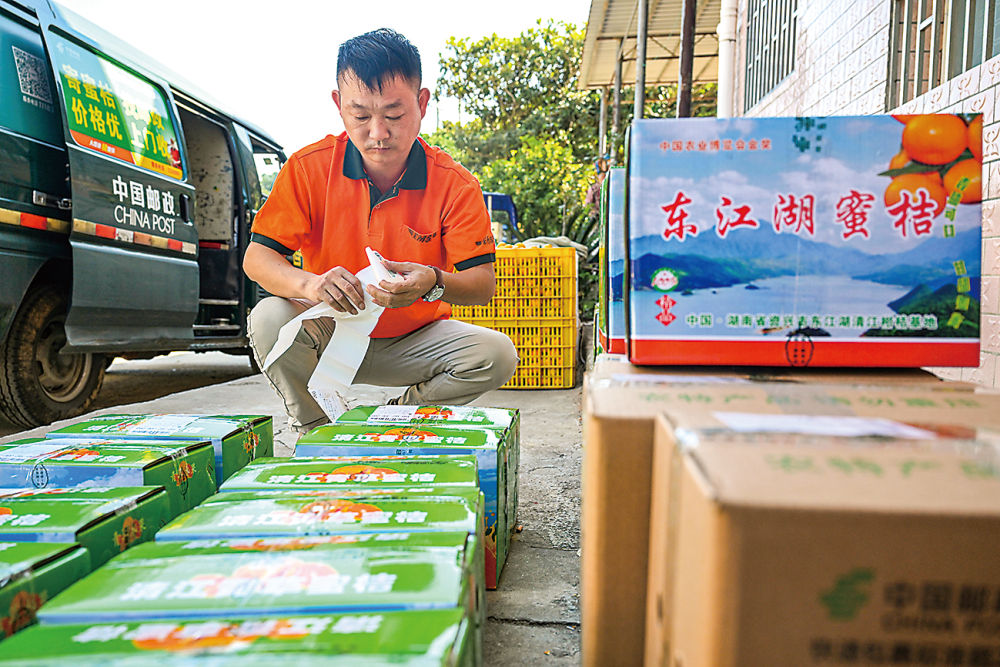 Pg电子平台：蹲点十村看乡村振兴再出发｜新华蹲点调研(图10)