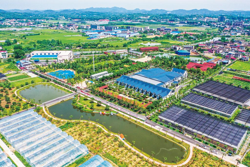 Pg电子游戏：蹲点十村看乡村振兴再出发(图2)