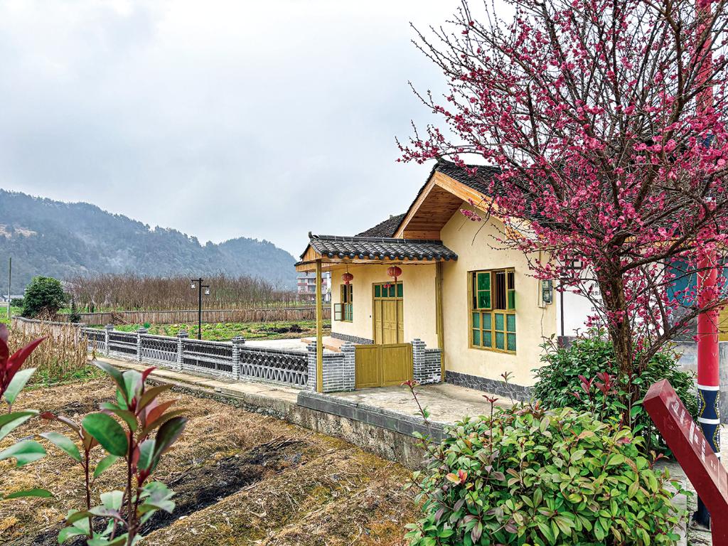 Pg电子游戏：蹲点十村看乡村振兴再出发(图6)