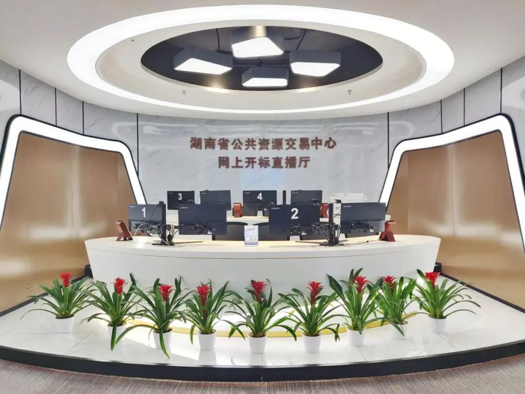 Pg电子平台：观潮的螃蟹数字湖南建设的“大”逻辑(图3)