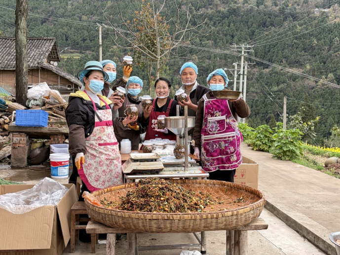 Pg电子游戏:四川苍溪“村播助农”释放乡村振兴新动能(图1)