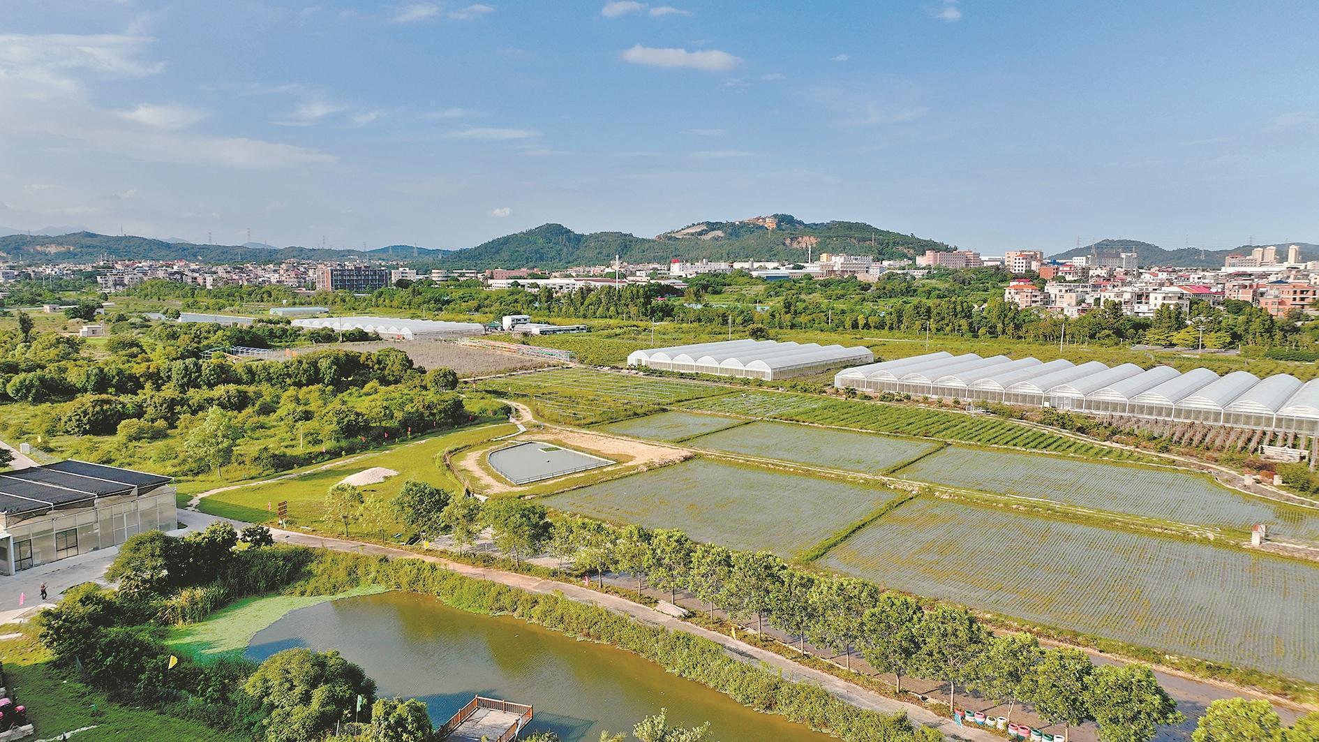 Pg电子游戏平台:深耕“三农”促振兴建设和美新乡村(图2)