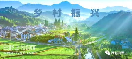 Pg电子平台：数字乡村建设内容是什么？有何重要意义？(图1)