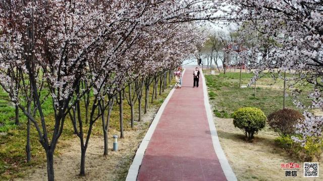 Pg电子游戏:焦作7座体育公园都有哪些运动清单?(图1)