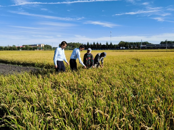 Pg电子游戏平台:中国建设银行黑龙江省分行:以金融之力赋能龙江振兴发展(图1)