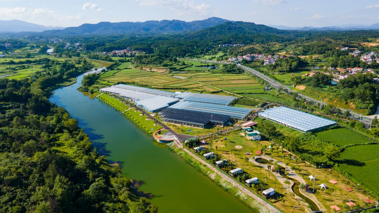 Pg电子游戏平台:武汉黄陂姚家集:从“一处美”到“全域美”的乡村振兴新探索(图1)