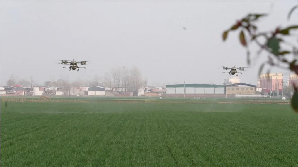 Pg电子平台：数智赋能春耕春管共谱乡村振兴新篇章(图3)