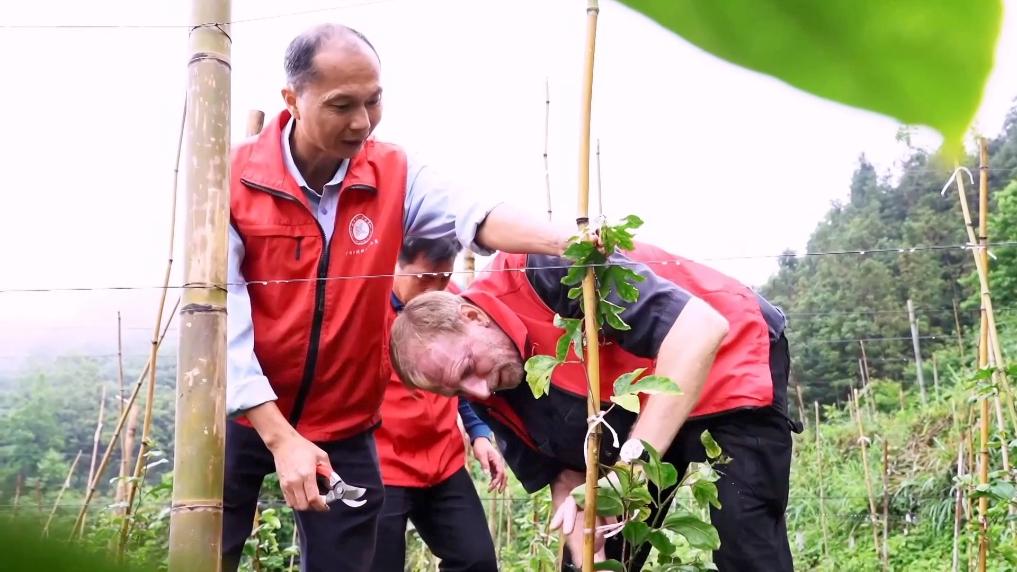 Pg电子平台：数智赋能春耕春管共谱乡村振兴新篇章(图6)
