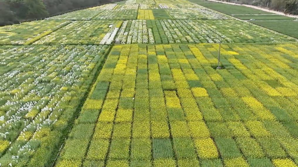 Pg电子平台：数智赋能春耕春管共谱乡村振兴新篇章(图10)