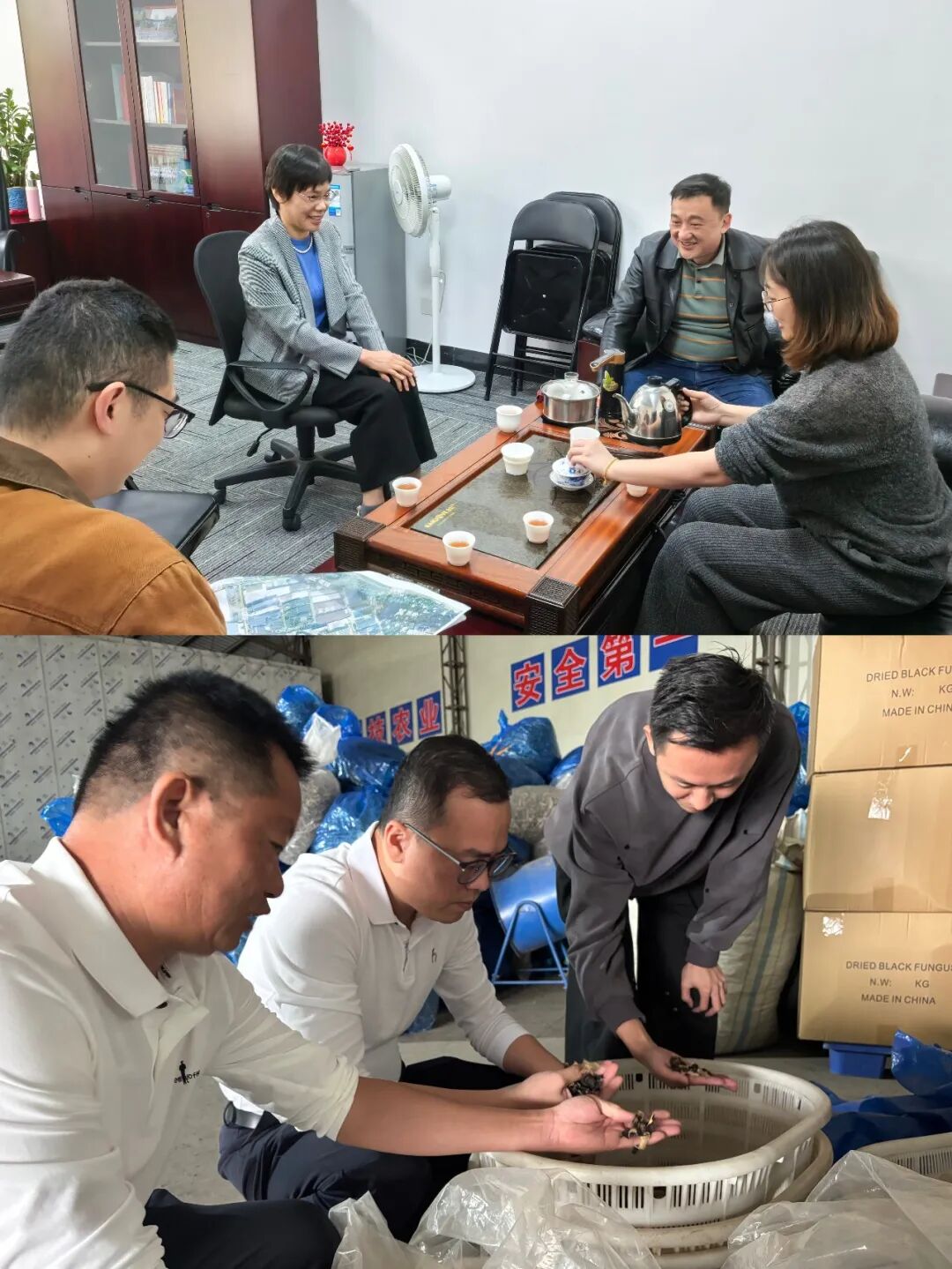 Pg电子游戏：龙文各地全力冲刺首季“开门红”(图5)