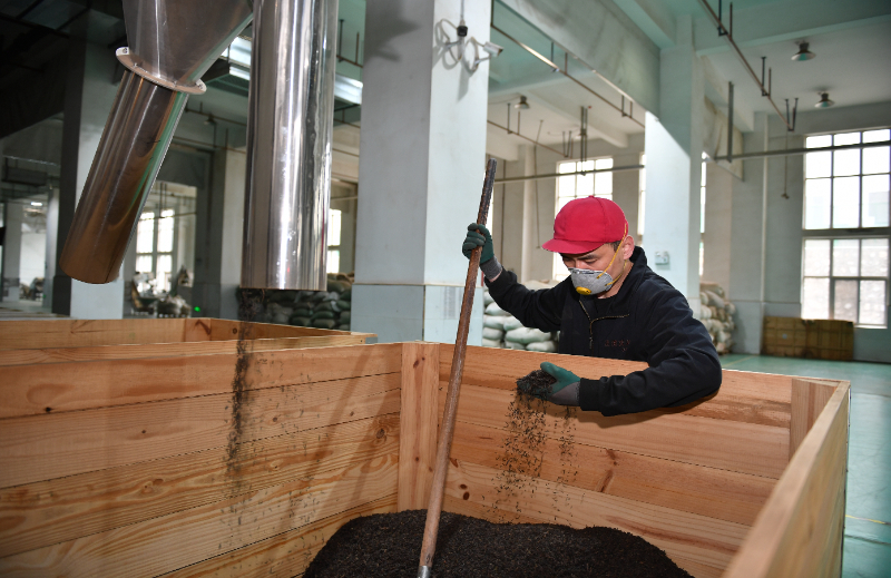 Pg电子平台:神州答卷丨古都咸阳焕新记(图2)