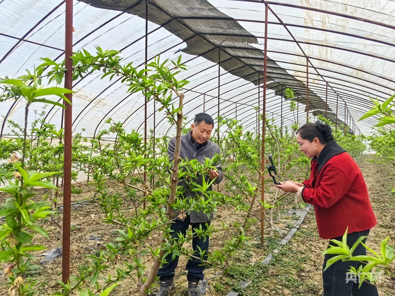 Pg电子游戏平台:从“又来收钱”到“为自己好”:和美乡村直播间“播”动民心(图2)