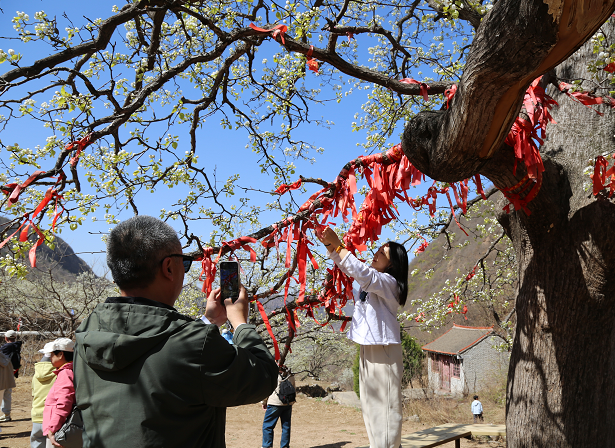 Pg电子游戏：河北青龙：大流量赋能农文旅活动高人气(图2)