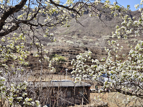 Pg电子游戏：河北青龙：大流量赋能农文旅活动高人气(图1)