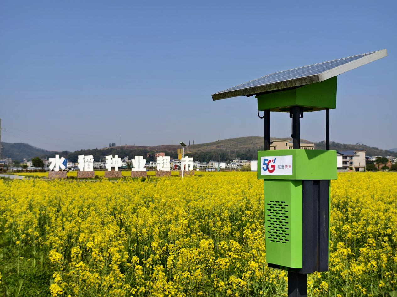 Pg电子游戏平台：当“萍乡红”邂逅“电信蓝”：数智赋能点燃辣都新引擎(图3)