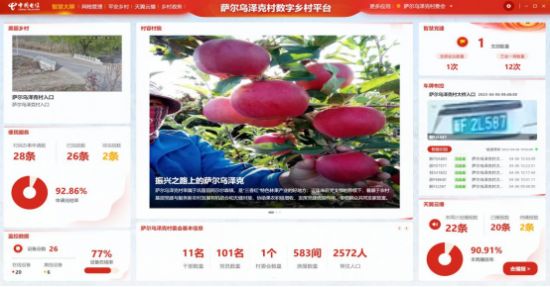 Pg电子平台：新疆：为乡村振兴插上“数字翅膀”(图2)