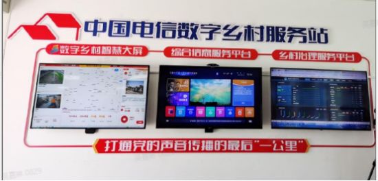 Pg电子平台：新疆：为乡村振兴插上“数字翅膀”(图1)