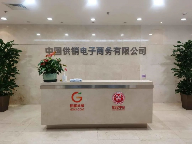 Pg电子游戏：通联支付网络服务股份有限公司以“云商通”加快多产业价值创新(图3)