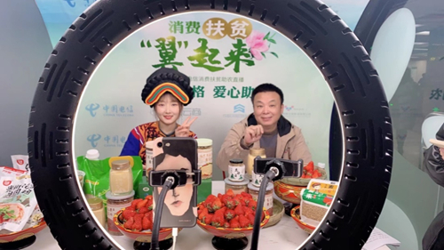 Pg电子游戏平台：乡村振兴电信有“数”数字乡村让幸福生活触手可及(图3)