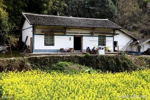 Pg电子平台：律师建议：掌握这几条拆迁补偿逻辑思维面对征地拆迁您不吃亏(图1)